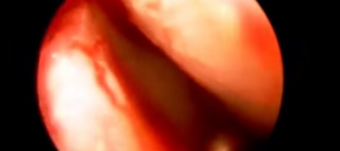 Captura de pantalla 2015-07-28 a la(s) 12.36.02