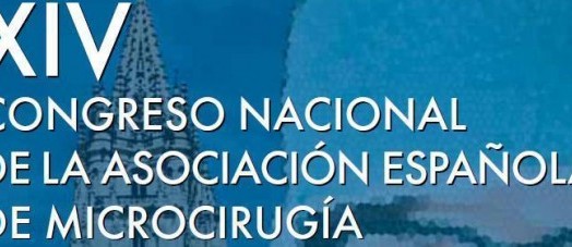 congreso-microcirugía-AEM-524x227
